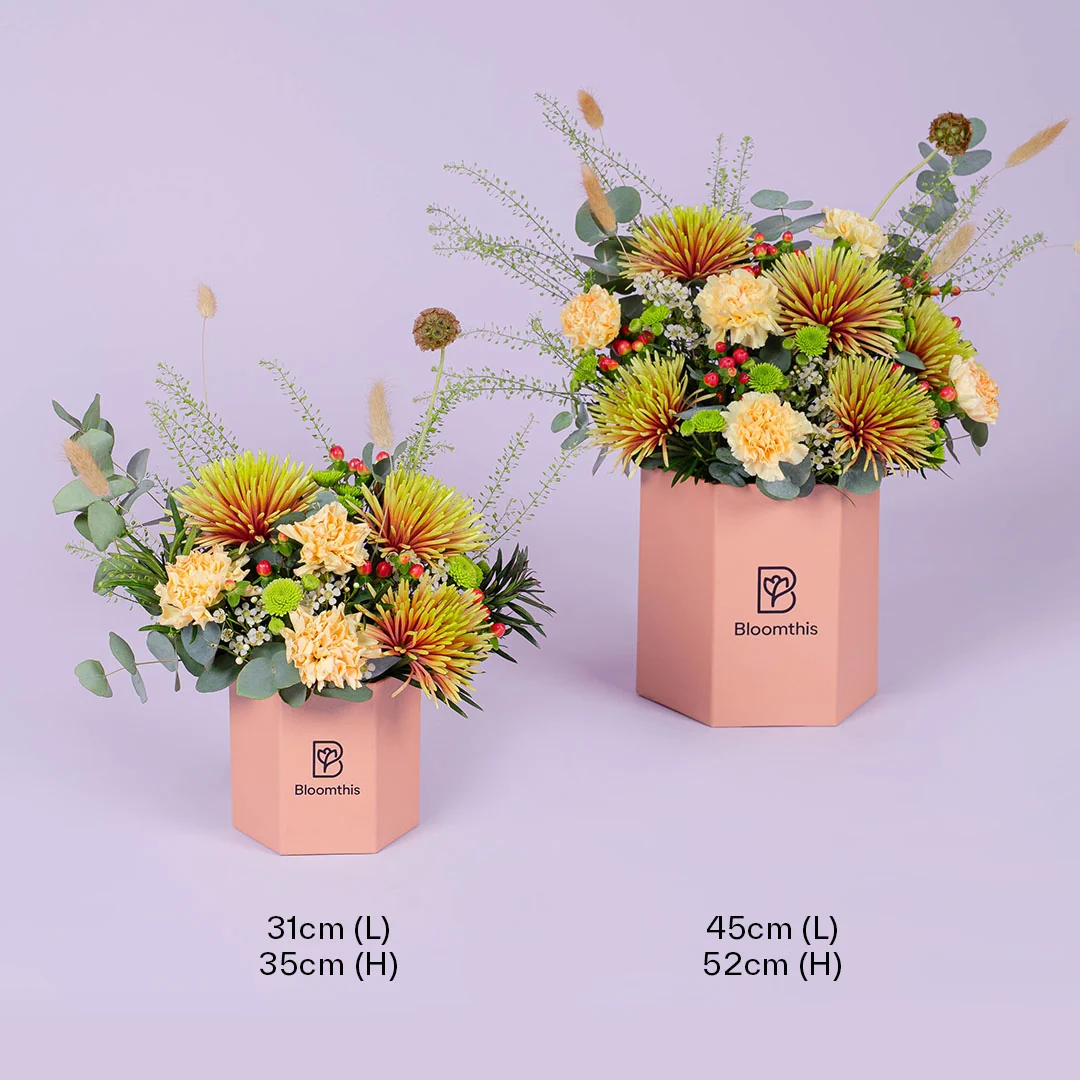 Adora Peach Carnation Flower Box - Image 8