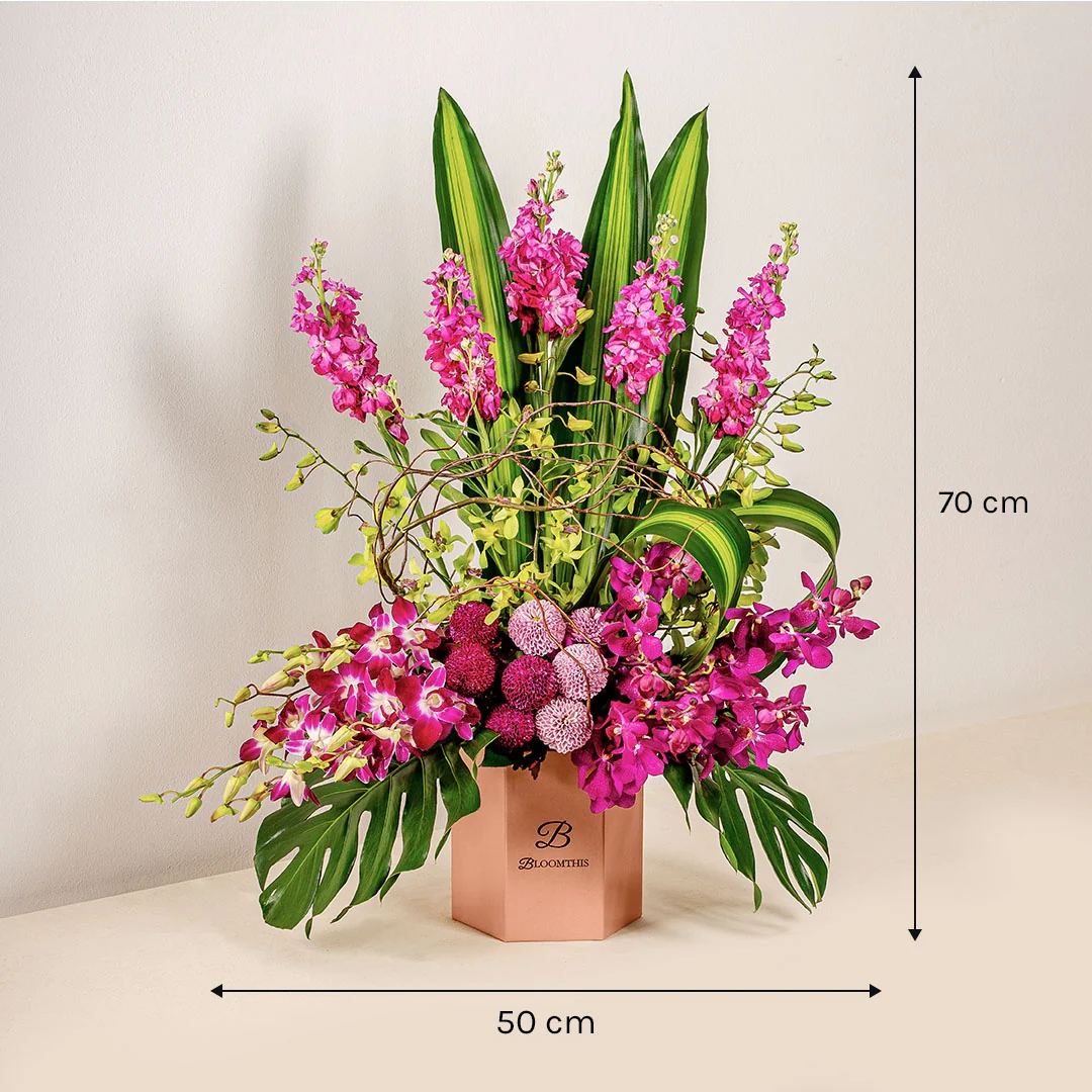 Captivating Matthiola & Orchid Flower Box - Image 5