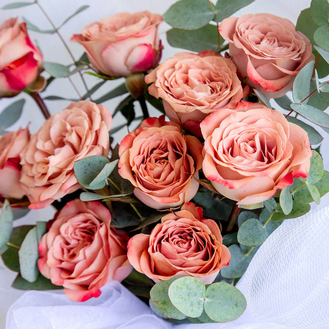 Charlie Cappuccino Rose Bouquet - Image 4