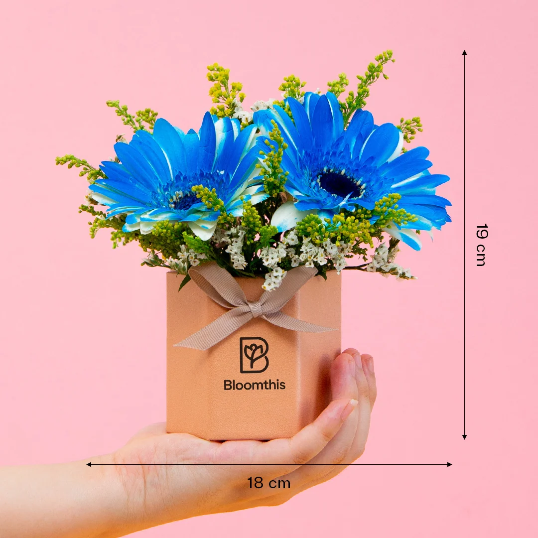Francisco Gerbera Mini Flower Box - Image 5