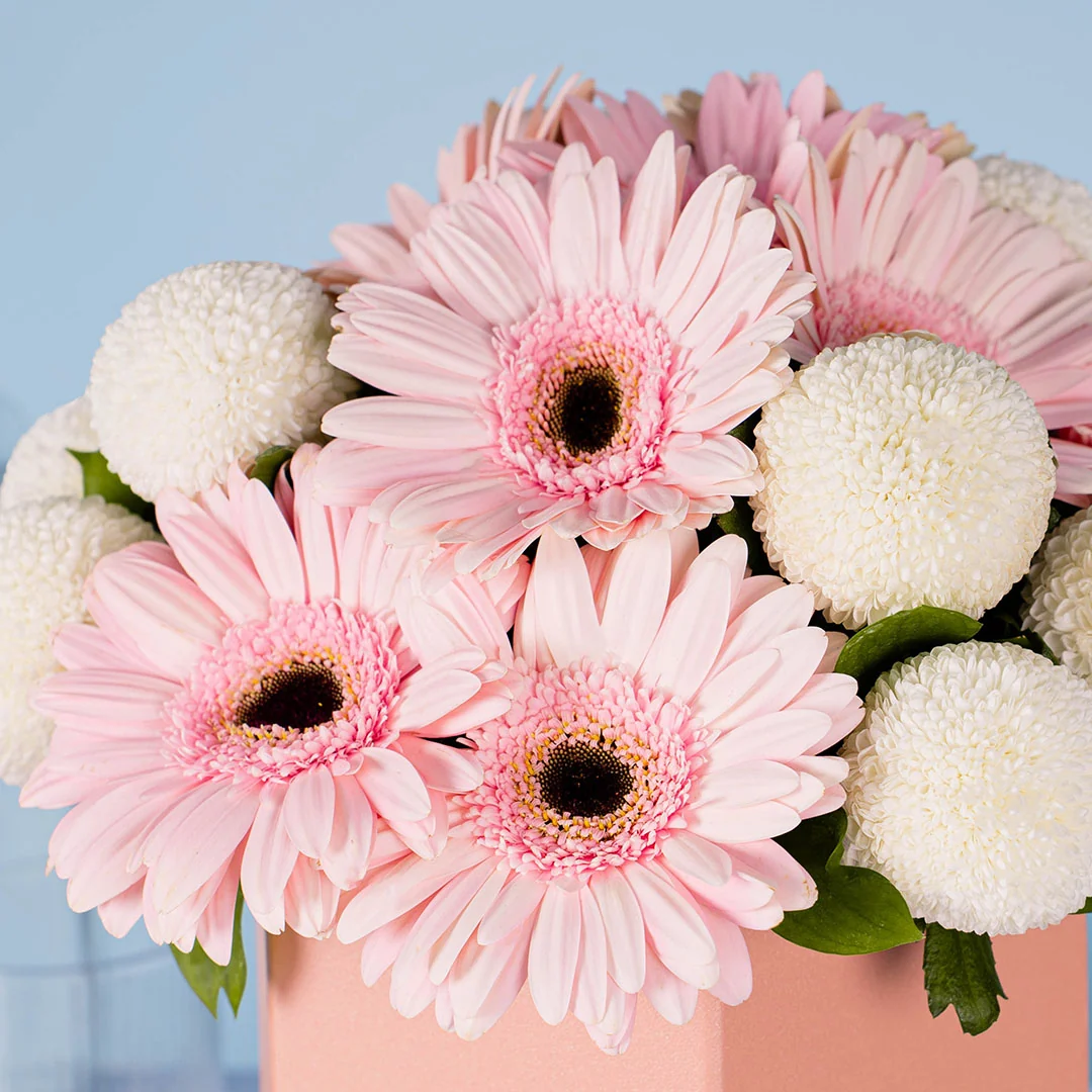 Grace Pink Gerbera Flower Box - Image 5