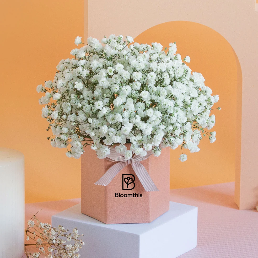 Joyful Baby's Breath Mini Flower Box - Image 3