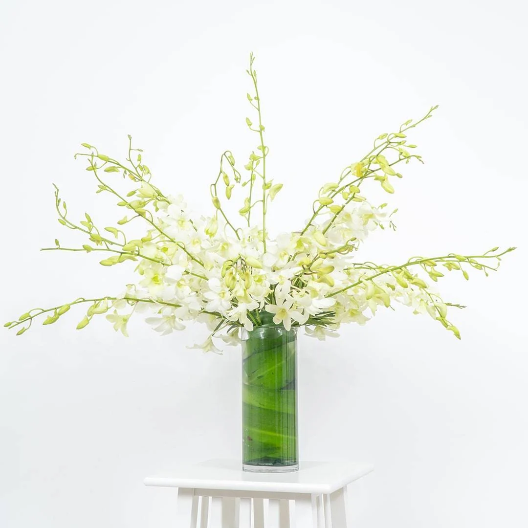 Marisol White Dendrobium Orchid Vase - Image 4