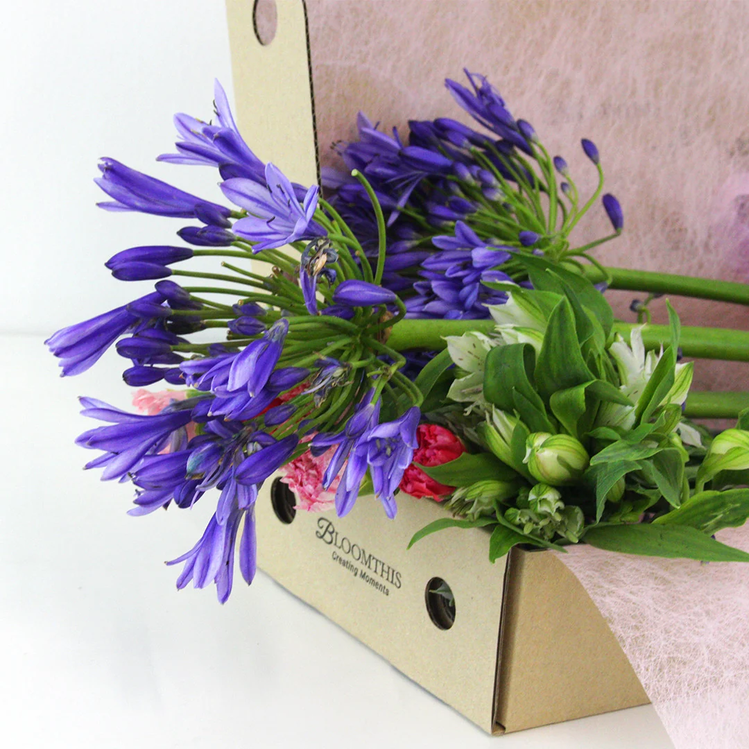Monthly Subscription - Image 10
