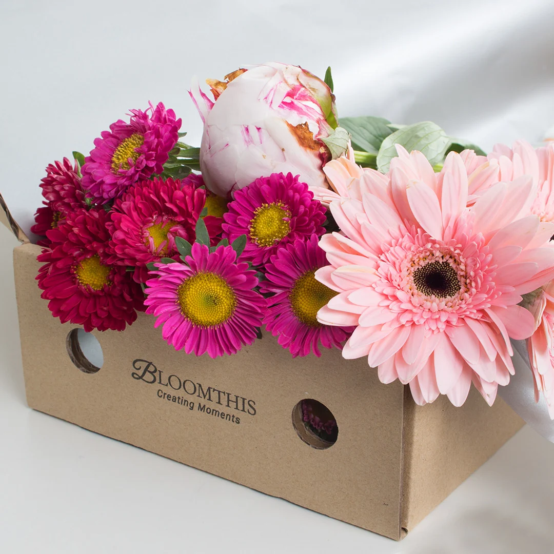 Monthly Subscription - Image 9