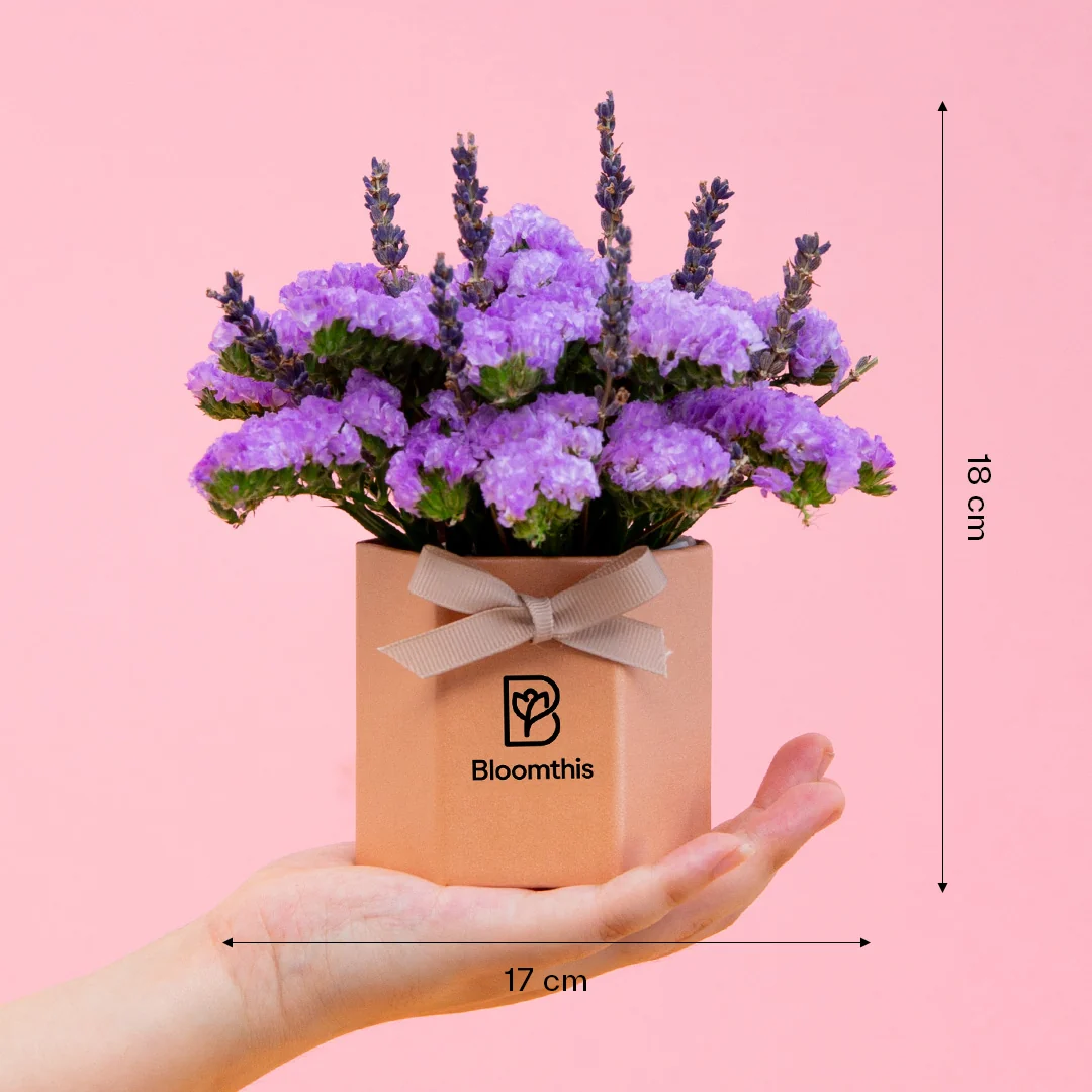 Shamimi Statice Mini Flower Box - Image 6