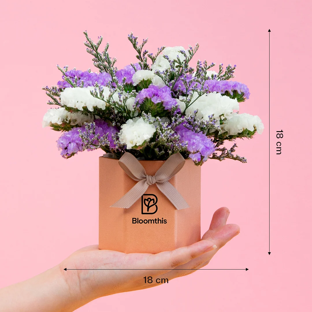 Wanda Statice Mini Flower Box - Image 5