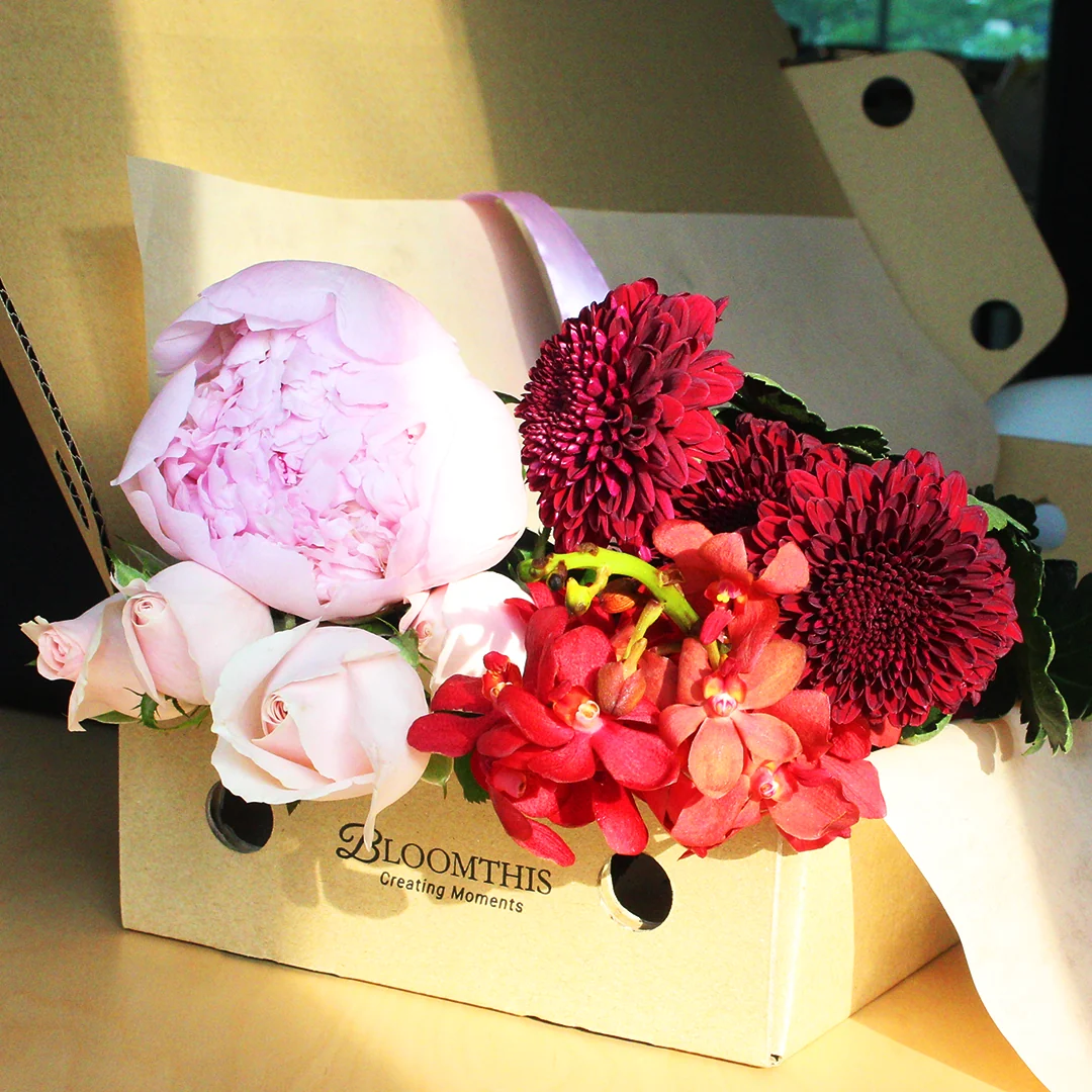 Weekly Subscription - Image 9