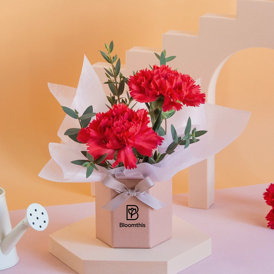 Wynona Carnation Mini Flower Box - Image 3